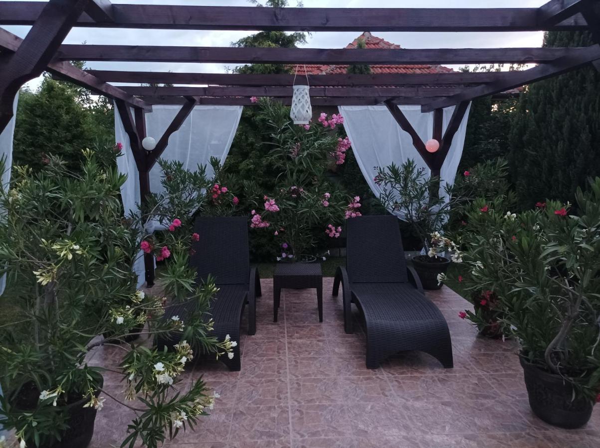 Guesthouse Dida 萨帕雷瓦巴尼亚 外观 照片